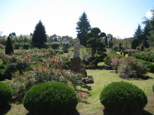 全国 バラ園 双葉ばら園