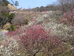 南部 丘陵 公園