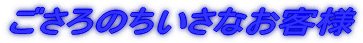 ̂Ȃql