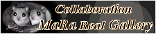 Collaboration MaRa Real Gallery