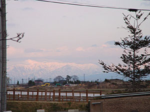 CxgI̊ǑiF