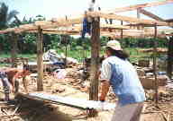 21-19b.jpg(49KB)