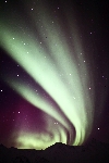 1F7G9819-2.jpg