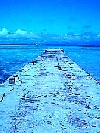 060719_105528_ed.jpg