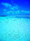060719_123707_ed.jpg
