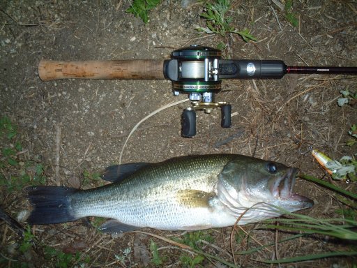 Shimano Scorpion { ABU 4600 MAG