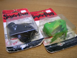 �p�P����V�i