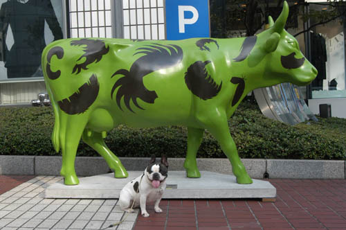 カウパレード　新聞を読むウシ　#11565 カウパレード 新聞を読むウシ #11565 - メルカリ