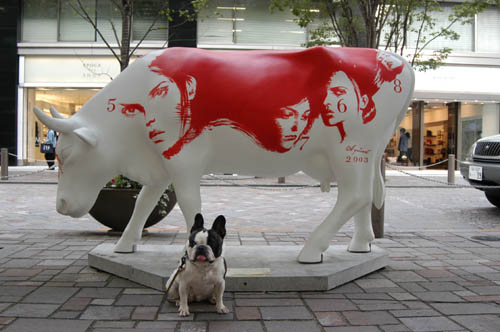 カウパレード　新聞を読むウシ　#11565 カウパレード 新聞を読むウシ #11565 - メルカリ