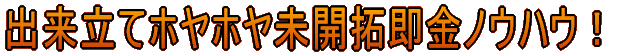 出来立てホヤホヤ未開拓即金ノウハウ!