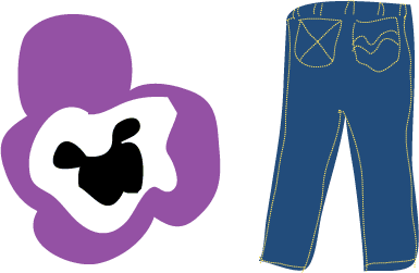 pansy-jeans-illustration
