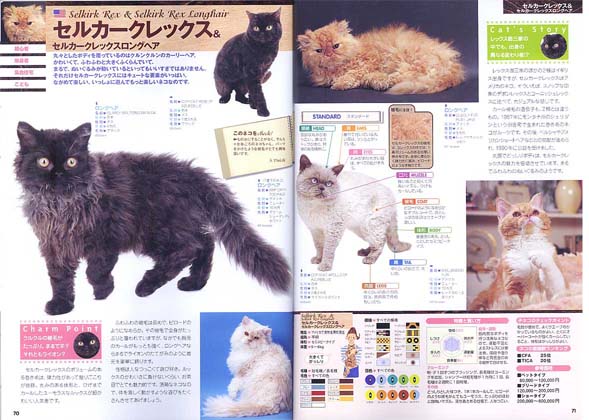 cat's catalog2010