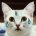 ̃Q[̃TCgl