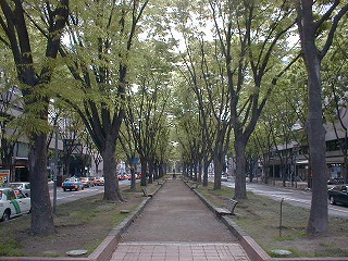 Pic05017.jpg (63231 oCg)