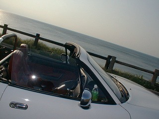 Pic03006.jpg (60209 oCg)