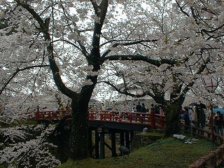 Pic04004.jpg (66773 oCg)