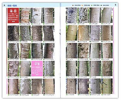 樹皮の図鑑 樹皮ハンドブック の内容紹介