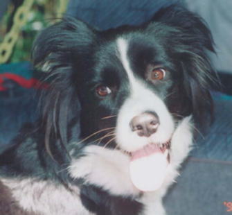 �N���X�ꂳ��