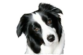 �N���X�����