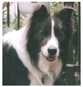 �p�����N