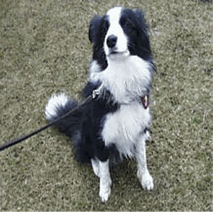 �~�N�o�����