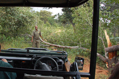 Chobe Safari Lodge
