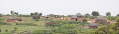 Country View