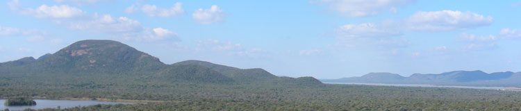 Mokolodi World View