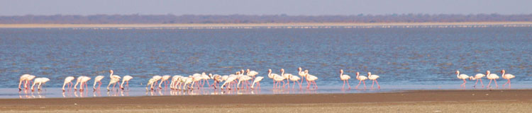 Nata Bird Sanctuary