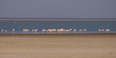 Nata Bird Sanctuary