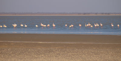 Nata Bird Sanctuary