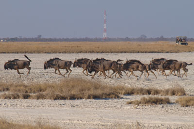 Nata Bird Sanctuary