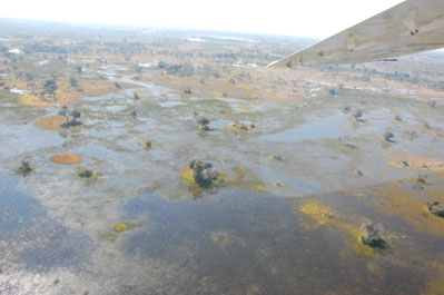 Okavango