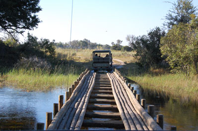 Game Drive in Okavango
