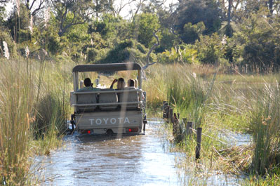 Game Drive in Okavango