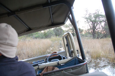 Game Drive in Okavango