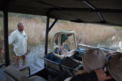 Game Drive in Okavango
