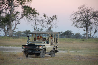 Game Drive in Okavango