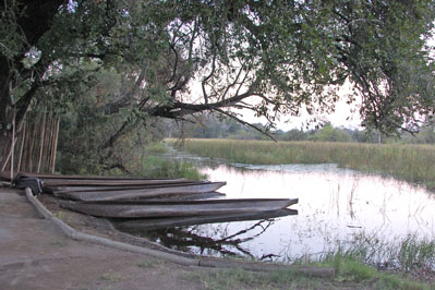 Mokoro