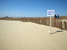 Playa de La Marina