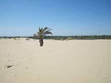 Playa de La Marina