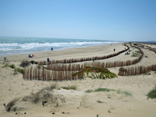 Playa de La Marina