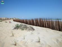 Playa de La Marina