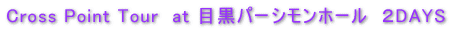 �ڍ��p�[�V�����z�[���@�QDAYS�@���|�i2003.3.14�E15�j 