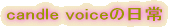candlevoice�̓���