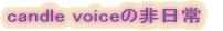 candlevoice�̔���� 
