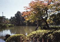 ���Z���̕��i