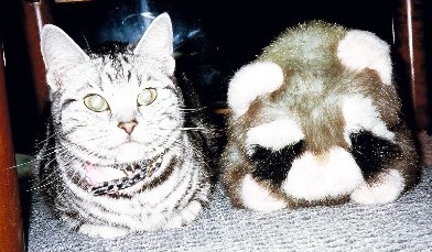 �c�[�V���b�g