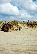 �I�^�N���q�吶