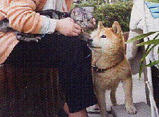 �`�F���[����